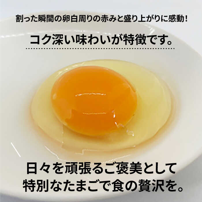 【ふるさと納税】【黄身がつかめる！ブランド卵】TOCO-tori EGG おうち贅沢ボックス 卵 20個入 高級卵 たまご 五島市 / 五島列島大石養鶏場 [PFQ002] 玉子 タマゴ 鶏卵 希少 五島列島