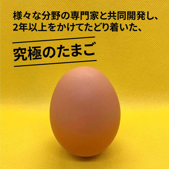 【ふるさと納税】【黄身がつかめる！ブランド卵】TOCO-tori EGG おうち贅沢ボックス 卵 20個入 高級卵 たまご 五島市 / 五島列島大石養鶏場 [PFQ002] 玉子 タマゴ 鶏卵 希少 五島列島