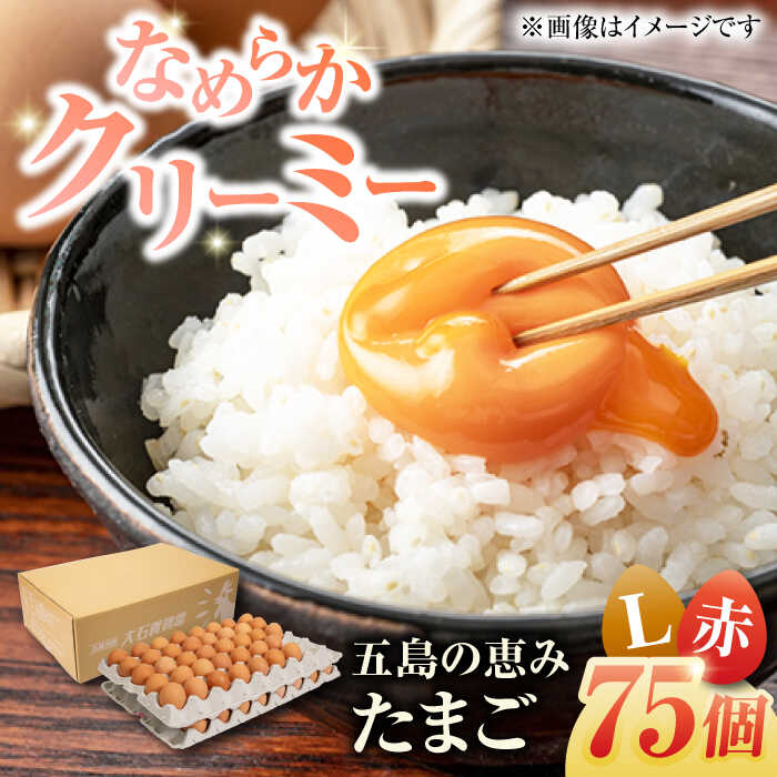 【ふるさと納税】【箱入り】五島の恵みたまご Lサイズ 75個入 / 卵 赤玉子五島市 / 五島列島大石養鶏場[PFQ005] 玉子 タマゴ 鶏卵 希少 五島列島