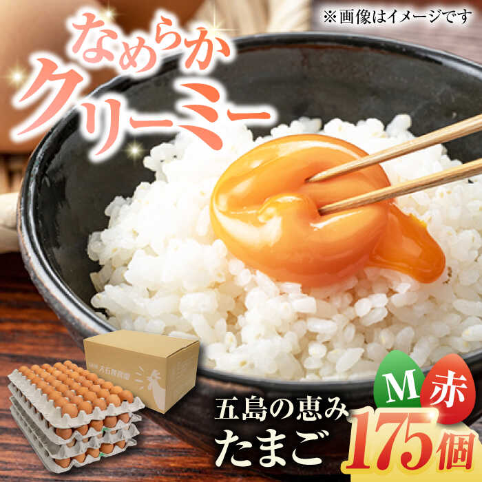 【ふるさと納税】【箱入り】五島の恵みたまご Mサイズ 175個入 / 卵 赤玉子 五島市 / 五島列島大石養鶏場[PFQ006] 玉子 タマゴ 鶏卵 希少 五島列島