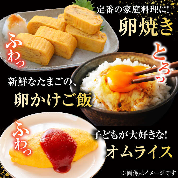 【ふるさと納税】【箱入り】平飼たまご ファイブエッグ M〜Lサイズ 150個 / 5EGG 卵 赤玉子五島市 / 五島列島大石養鶏場[PFQ010] 玉子 タマゴ 鶏卵 希少 五島列島