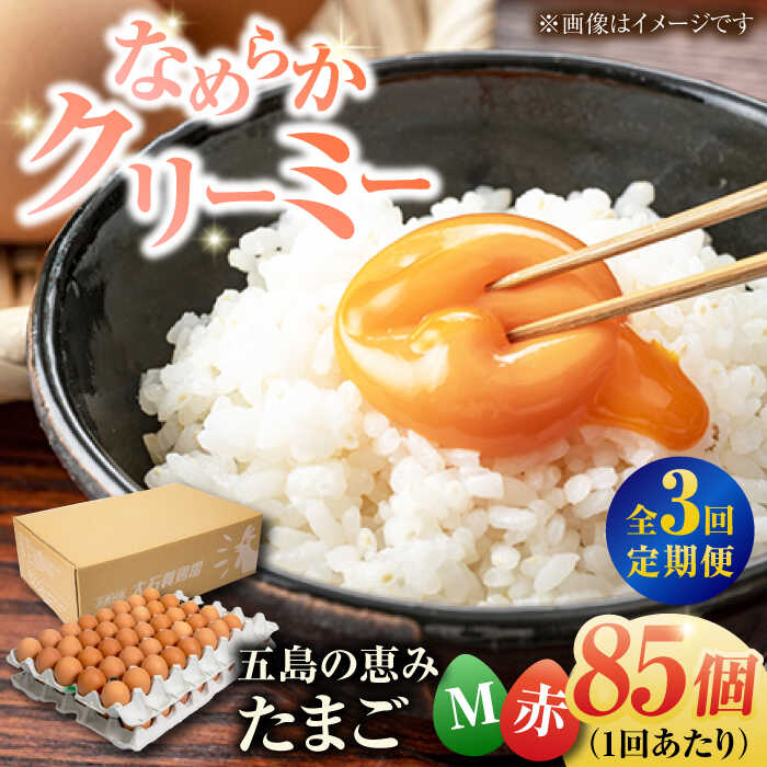 【ふるさと納税】【全3回定期便】【箱入り】五島の恵みたまご Mサイズ 85個入 / 卵 赤玉子 五島市 / 五島列島大石養鶏場[PFQ014] 玉子 タマゴ 鶏卵 希少 五島列島