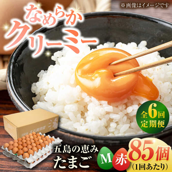 【ふるさと納税】【全6回定期便】【箱入り】五島の恵みたまご Mサイズ 85個入 / 卵 赤玉子 五島市 / 五島列島大石養鶏場[PFQ015] 玉子 タマゴ 鶏卵 希少 五島列島