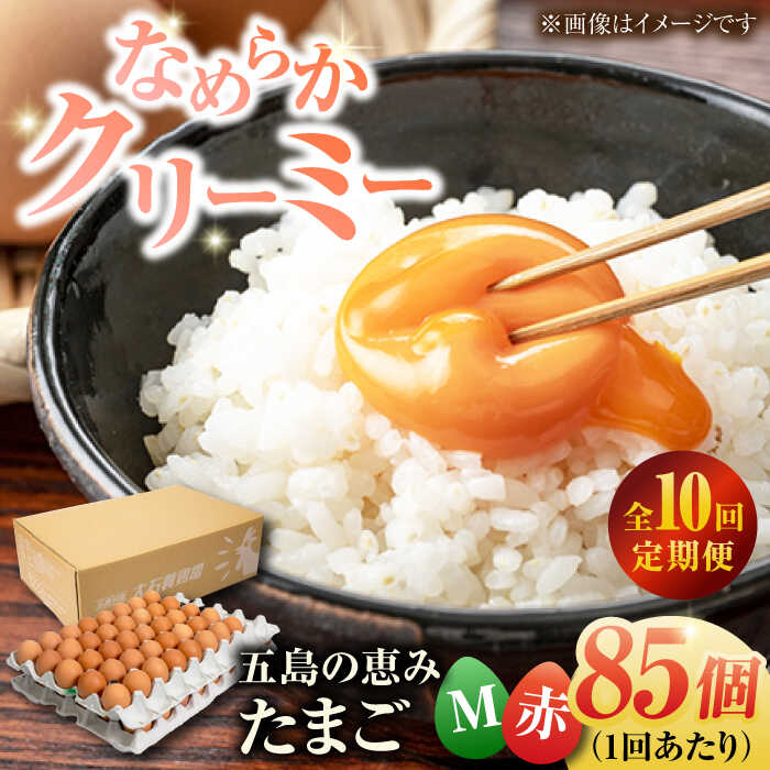 【ふるさと納税】【全10回定期便】【箱入り】五島の恵みたまご Mサイズ 85個入 / 卵 赤玉子 五島市 / 五島列島大石養鶏場[PFQ016] 玉子 タマゴ 鶏卵 希少 五島列島