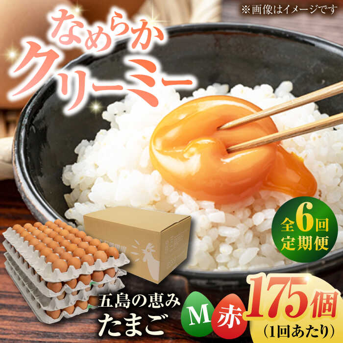 【ふるさと納税】【全6回定期便】【箱入り】五島の恵みたまご Mサイズ 175個入 / 卵 赤玉子 五島市 / 五島列島大石養鶏場[PFQ021] 玉子 タマゴ 鶏卵 希少 五島列島