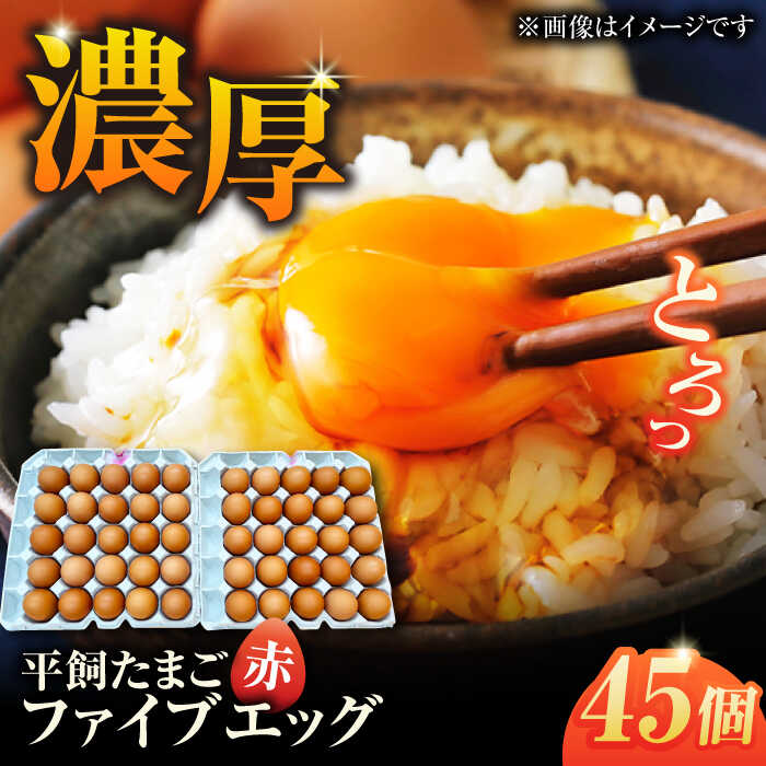 【ふるさと納税】【箱入り】平飼たまご ファイブエッグ M〜Lサイズ 45個 / 5EGG 卵 赤玉子 五島市 / 五島列島大石養鶏場[PFQ036] 玉子 タマゴ 鶏卵 希少 五島列島