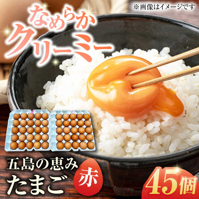 【ふるさと納税】【箱入り】五島の恵みたまご M〜Lサイズ 45個入 / 卵 赤玉子 五島市 / 五島列島大石養鶏場[PFQ038] 玉子 タマゴ 鶏卵 希少 五島列島