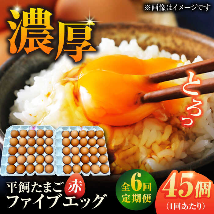【ふるさと納税】【6回定期便】【箱入り】平飼たまご ファイブエッグ M〜Lサイズ 45個 / 5EGG 卵 赤玉子 五島市 / 五島列島大石養鶏場[PFQ043] 玉子 タマゴ 鶏卵 希少 五島列島