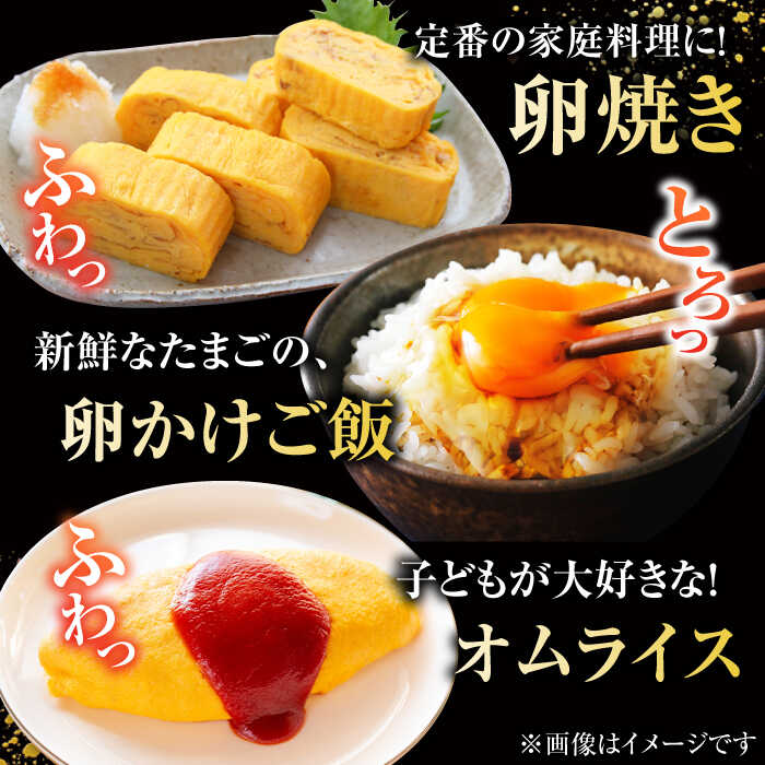 【ふるさと納税】【10回定期便】【箱入り】平飼たまご ファイブエッグ M〜Lサイズ 45個 / 5EGG 卵 赤玉子 五島市 / 五島列島大石養鶏場[PFQ044] 玉子 タマゴ 鶏卵 希少 五島列島