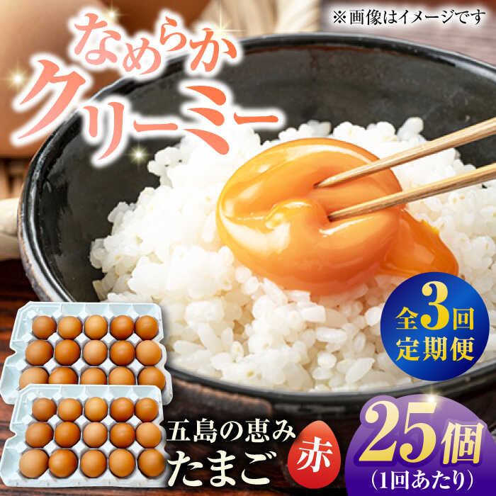 【ふるさと納税】【3回定期便】【箱入り】五島の恵みたまご M〜Lサイズ 25個入 / 卵 赤玉子 五島市 / 五島列島大石養鶏場[PFQ045] 玉子 タマゴ 鶏卵 希少 五島列島