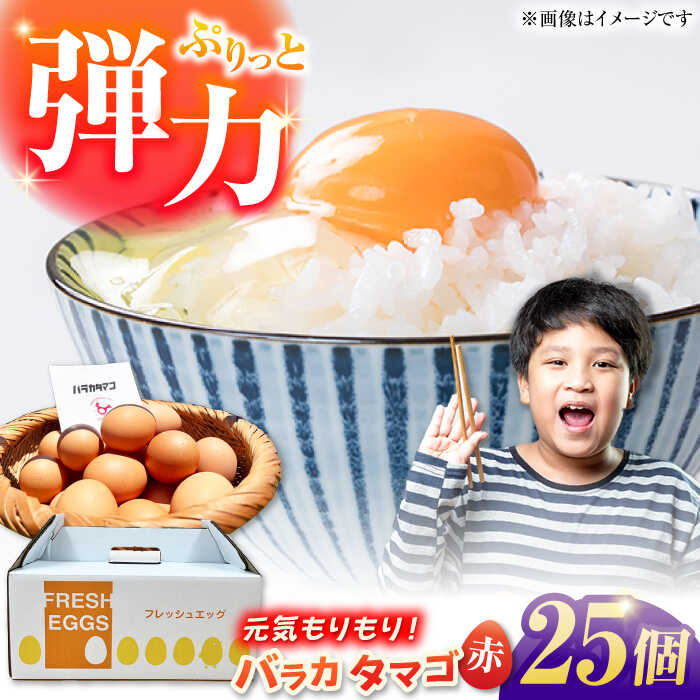【ふるさと納税】【箱入り】バラカタマゴ 25個入 M〜Lサイズ 卵 玉子 たまご 国産 五島市 / 五島列島大石養鶏場[PFQ052] 玉子 タマゴ 鶏卵 希少 五島列島
