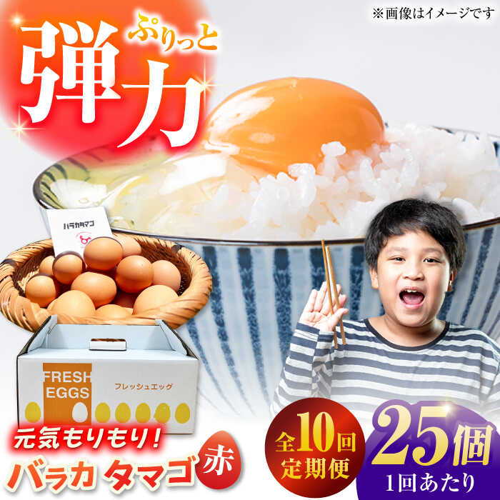 【ふるさと納税】【全10回定期便】【箱入り】バラカタマゴ 25個入 M〜Lサイズ 卵 玉子 たまご 国産 五島市 / 五島列島大石養鶏場[PFQ059] 玉子 タマゴ 鶏卵 希少 五島列島