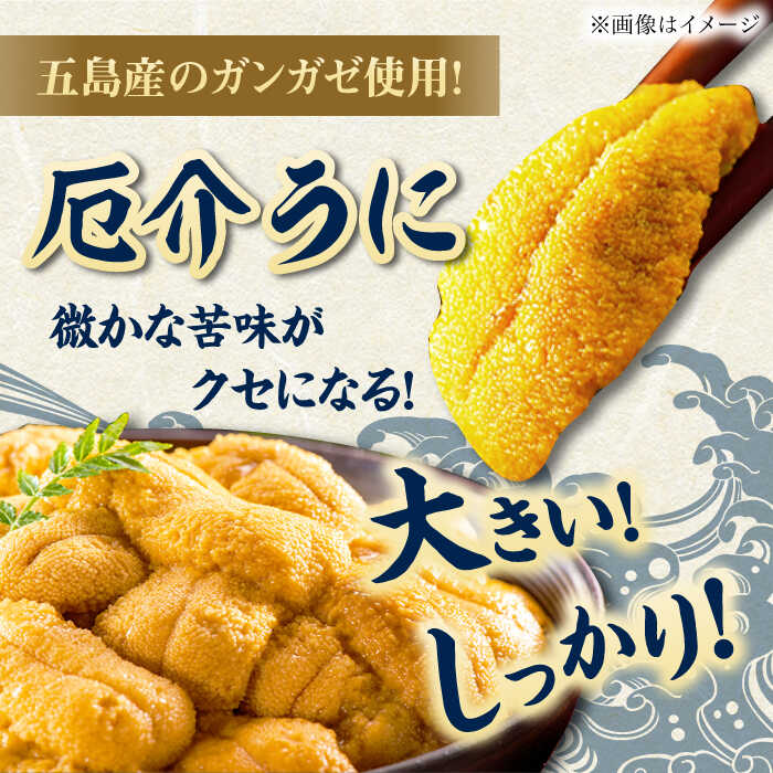 【ふるさと納税】厄介うに ガンガゼの塩うに 70g×5本 / ウニ 雲丹 訳あり 五島市 / うた丸[PGA002]