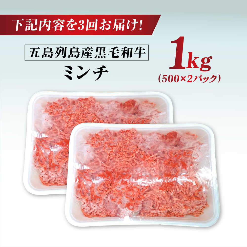 【ふるさと納税】【全3回定期便】五島列島産 黒毛和牛 ミンチ 1kg 五島市/山口Farm[PGJ030]