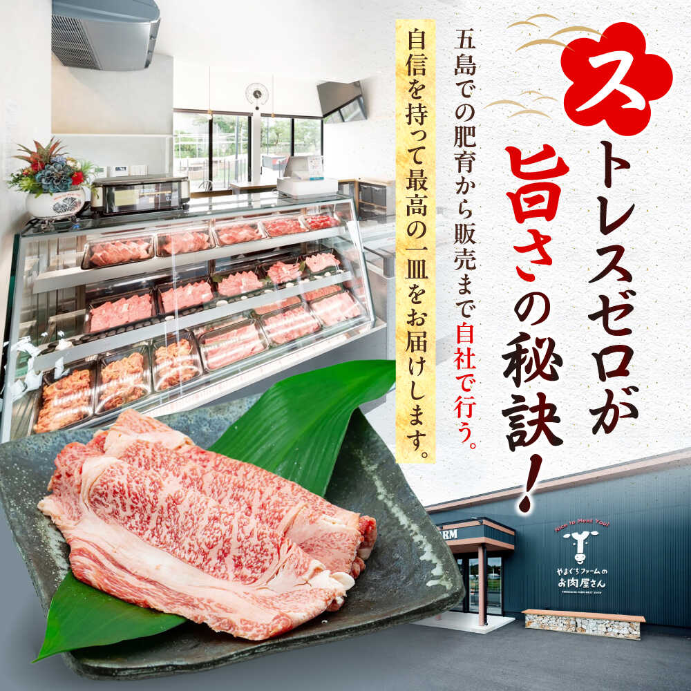 【ふるさと納税】【6回定期便】五島列島産 黒毛和牛 焼肉上カルビ 500g 五島市/山口Farm[PGJ059] f422118-goto-10002698 長崎県五島市 サンプル画像3