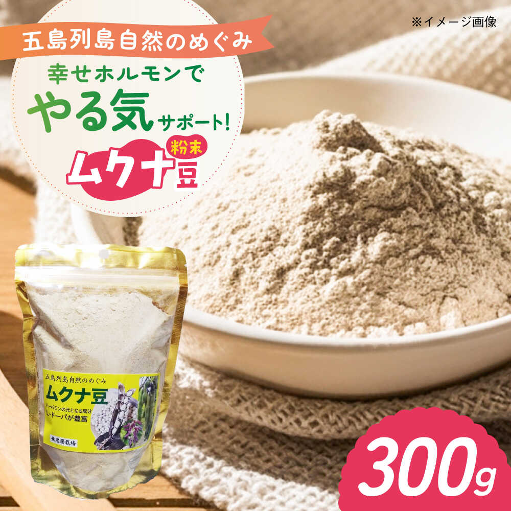【ふるさと納税】ムクナ豆 粉末300g 五島市/五島列島自然のめぐみ[PGM002]