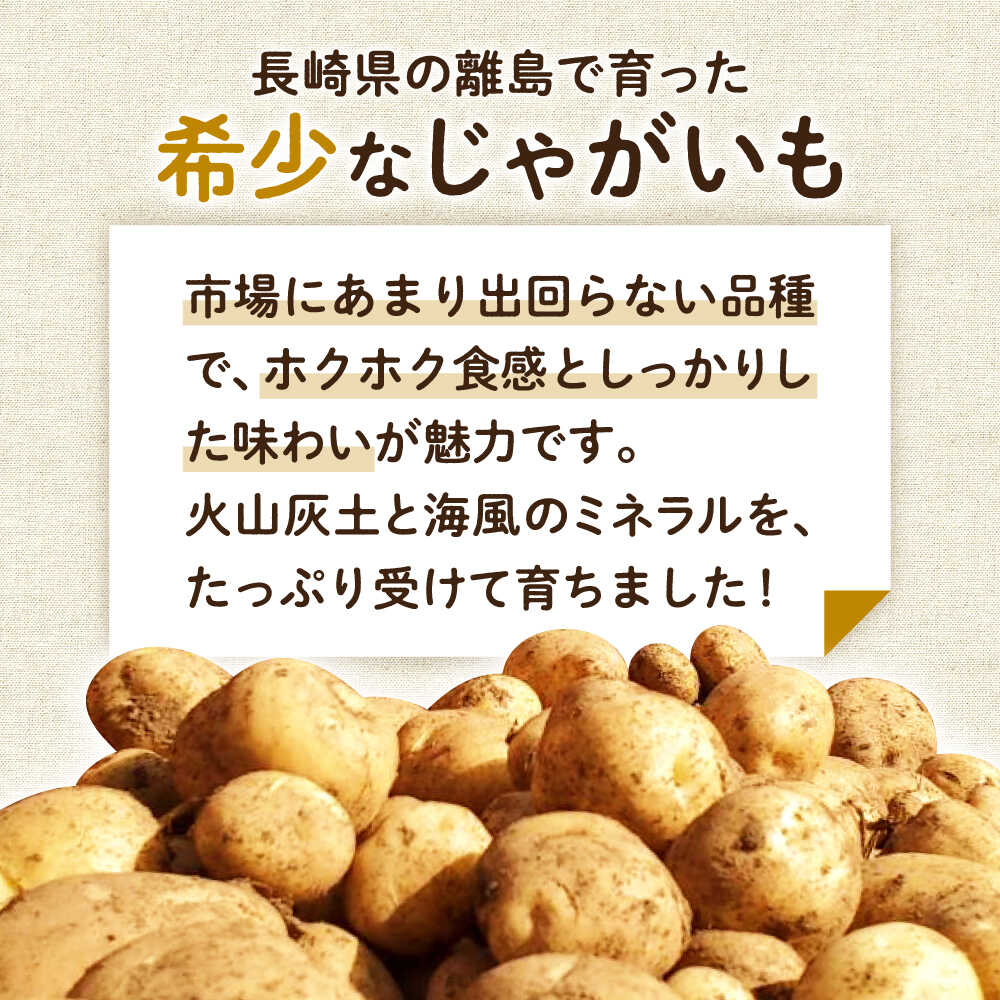 【ふるさと納税】【2025年12月より発送】島の元気なじゃがいも!旨味抜群の『デジマ』2kg 五島市/あわたに農園[PGO003] じゃがいも じゃが芋 デジマ 野菜