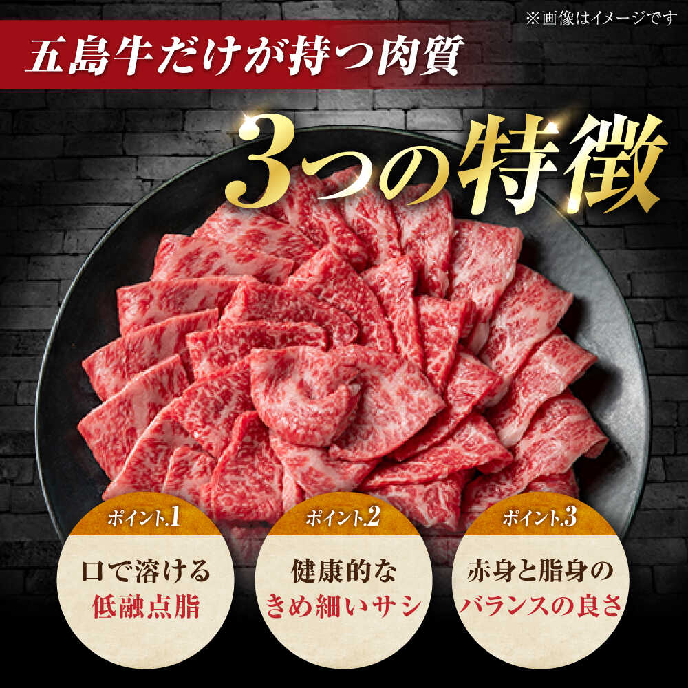 【ふるさと納税】【12回定期便】五島牛 ローストビーフ 約400g（ステーキソース付）五島市/meat shop FUKU[PHF004] f422118-goto-10003161 長崎県五島市 サンプル画像3