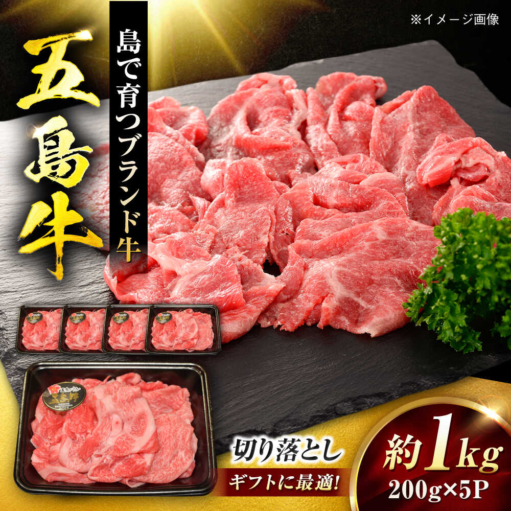 Other - 【ふるさと納税】五島牛 切り落とし 1kg（200g×5P）五島市/meat shop FUKU[PHF017]