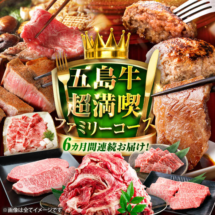 [6回定期便]大満足!五島牛 ファミリー特撰コース 五島市/五島市ふるさと納税