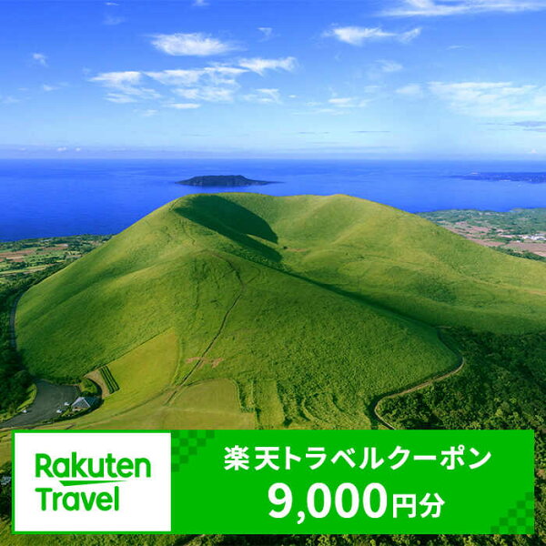 【ふるさと納税】長崎県五島市の対象施設で使える楽天トラベルクーポン 寄付額30,000円 [PZZ003] 宿泊 九州 ホテル 五島市 国内旅行