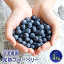 【発送について】11月〜1月申込：申込増加に伴い、表示の納期よりも2~3ヶ月発送が遅れる場合がございます。2〜10月：通常発送家族で力を合わせて経営 広津農園は広津次良さんを園主に、奥様のミカエさん、次女の田部岳美さん、岳美さんのご主人である学さんと家族で協力して農園を経営しています。 農園では現在405本のブルーベリーを栽培しており、他にも温州みかん、はれひめ、せとかなどの柑橘類を少々栽培しています。 新しいことに挑戦する心 広津農園では以前、養鶏と温州みかんの栽培をしていました。 温州みかんの単価が安くなってしまい、新品種にすべく全ての木を伐採しました。 次にどの品種にしようか思案していた時に目についたのがブルーベリーでした。 遊び心もあり、ブルーベリーを3品種60本植えたのが始まりです。 以来ブルーベリーの栽培歴は7年になります。 研究を重ねて・・・ 栽培は最初から上手くはいきませんでした。 ブルーベリーは浅く根を張るので台風が来ると吹き飛ばされてしまいました。 ブルーベリーは、北米が原産地のため、涼しい気候と酸性の土地が栽培に適しています。 しかし、広津農園がある長崎県西海市の西彼杵半島は、温暖な上、石灰分を多く含む赤土のアルカリ性の土壌なため、柑橘類の栽培には最適な土地ですが、ブルーベリーの栽培にはあまり適さない土地です。 私たちは、本や講習会で得たノウハウをもとに研究を重ね、2つの工夫をおこないました。 ＜土壌改良＞ 西彼杵半島特有のアルカリ性の土地を酸性にするためにピートモスを施しました。 また、水はけを良くするためにナギナタガヤを植え、木材チップを敷き詰めました。 ＜品種の選別＞ 温暖な土地でも栽培可能なラビットアイを中心に栽培しております。 SNSを活用、時代に合わせて より多くの人を呼び込むために力を入れているのがSNSの活用です。 フェイスブックやインスタグラムに専用のアカウントがあり、来園したお客様の笑顔など楽しんでいる様子を写真に撮って載せています。 収穫期にはほぼ毎日投稿しています。 他にもお客様自身が投稿してくださり、それを見てやってくるお客様もいます。 小さなお子様にも♪ 西海橋公園近くにある広津農園では、毎年ブルーベリー狩りも開催しております。 ご来園されたお客様（小さなお子様からご年配の方まで）からよく甘くて美味しいと、お褒めの言葉をいただきます。 北米とは大きく異なる長崎県西海市の地で逆境にも負けず、強く美味しく育った広津農園のブルーベリー。 ぜひ、たくさんの方に召し上がっていただきたいです！ 決済方法について こちらの返礼品は クレジット決済限定です。 お申込みの際はあらかじめご確認ください。 商品説明 名称　　　完熟ブルーベリー 内容量　　1kg 申込期日　　4月1日から7月08日 配送期日　　6月中旬&#12316;8月中旬 ※収穫時期に寄附申込いただいた場合は、1週間程度で発送 賞味期限　発送から冷蔵で7日間 配送方法　冷蔵 提供事業者広津農園