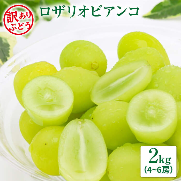 【ふるさと納税】【数量限定】【訳あり】 ロザリオビアンコ約2kg（4房～6房）＜岡本　満博＞ [CEN002]