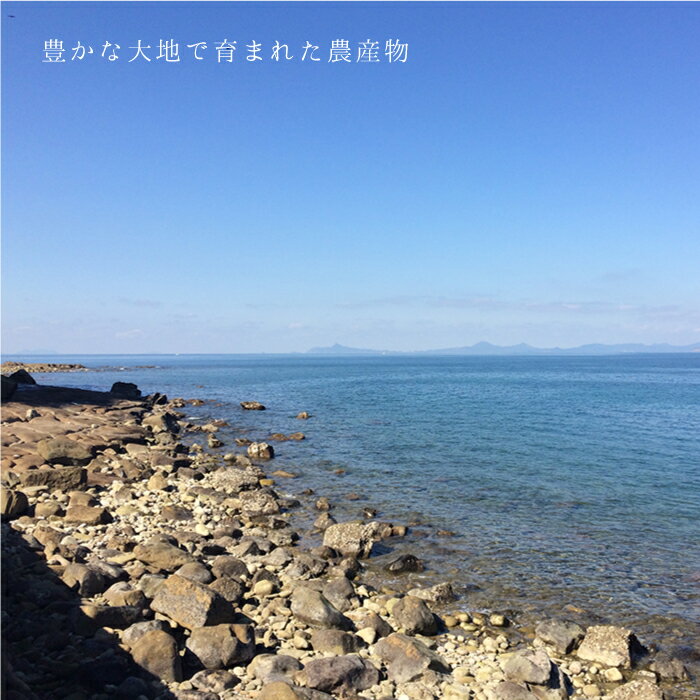 【ふるさと納税】海と山の幸セット（塩わかめ、乾燥ひじき、乾燥あおさ、干し大根、かんころもち） ＜SCC＞ [CAA076]