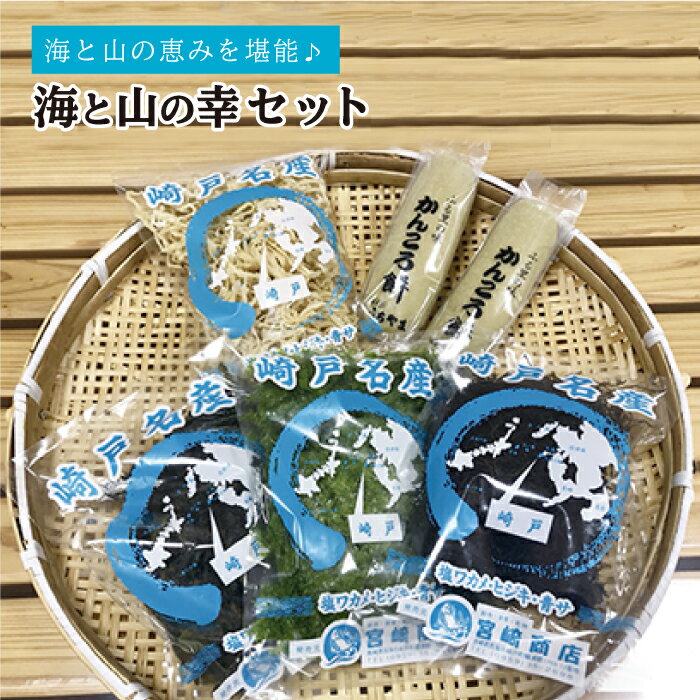 【ふるさと納税】海と山の幸セット（塩わかめ、乾燥ひじき、乾燥あおさ、干し大根、かんころもち） ＜SCC＞ [CAA076]