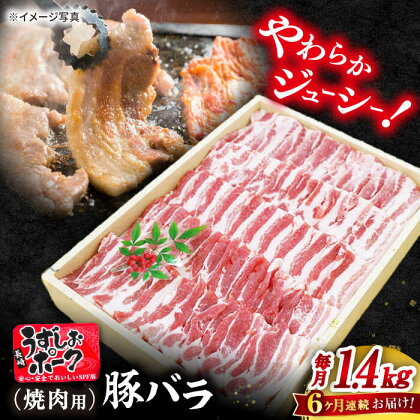 【 訳あり 】【6回 定期便 】 長崎 うずしおポーク バラ （ 焼肉 用）1.4kg＜スーパーウエスト＞ [CAG114] 長崎 西海 豚 ブタ 豚肉 バラ 便利 料理 やわらか ジューシー 上品 ブランド豚 焼き肉 焼肉 BBQ