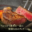 【ふるさと納税】【訳あり】長崎和牛 希少部位 赤身堪能セット 贅沢食べ比べ ＜スーパーウエスト＞ [CAG269] 2