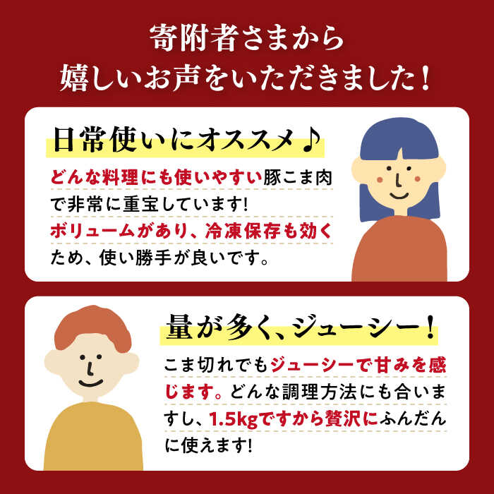 【ふるさと納税】【 訳あり 】【3回定期便】長崎うずしおポーク こま切れ計1.5kg（500g×3パック）＜スーパーウエスト＞ [CAG016] 長崎 西海 豚 ブタ 豚肉 こま切れ ブランド豚 小分け カレー 炒めもの 肉じゃが