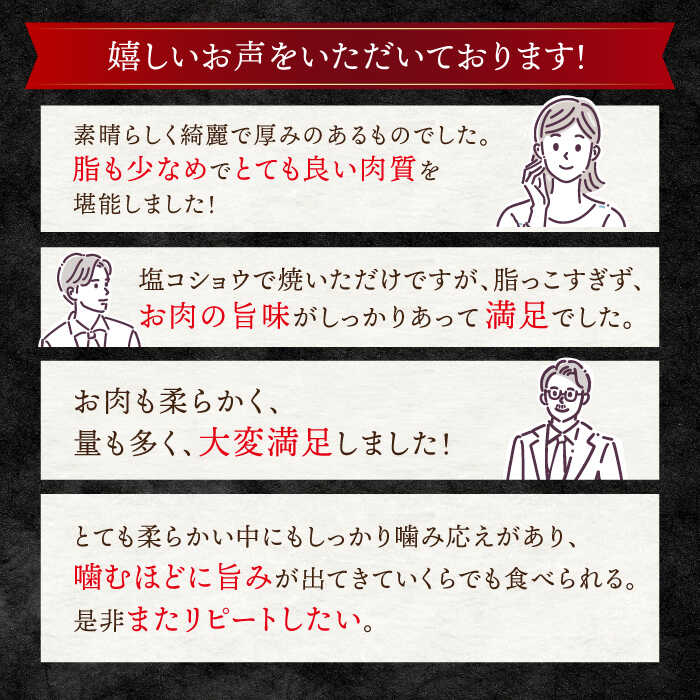 【ふるさと納税】 【 訳あり 】【お肉の魔人】 長崎和牛 ランプ ステーキ450g（3～5枚）＜スーパーウエスト＞ [CAG042] 肉 牛肉 和牛 食品 肉類 国産 九州産 ステーキ ブランド牛 ランプ 柔らかい 人気 贈答 ギフト プレゼント お祝い 記念日