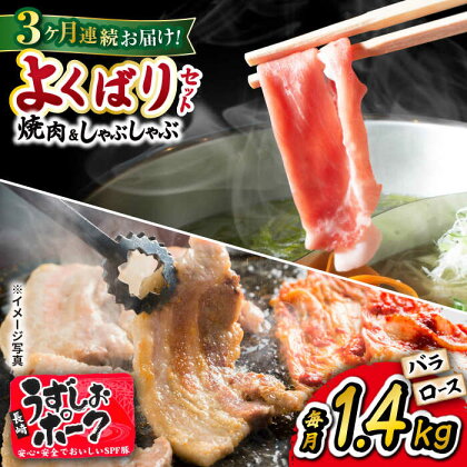 【 訳あり 】【3回 定期便 】長崎うずしおポーク 焼肉 ＆ しゃぶしゃぶ セット 計1.4kg＜スーパーウエスト＞ [CAG095] 長崎 西海 豚 ブタ 豚肉 便利 焼肉 料理 やわらか ジューシー 上品 ブランド豚 しゃぶしゃぶ ロース バラ 豚スライス