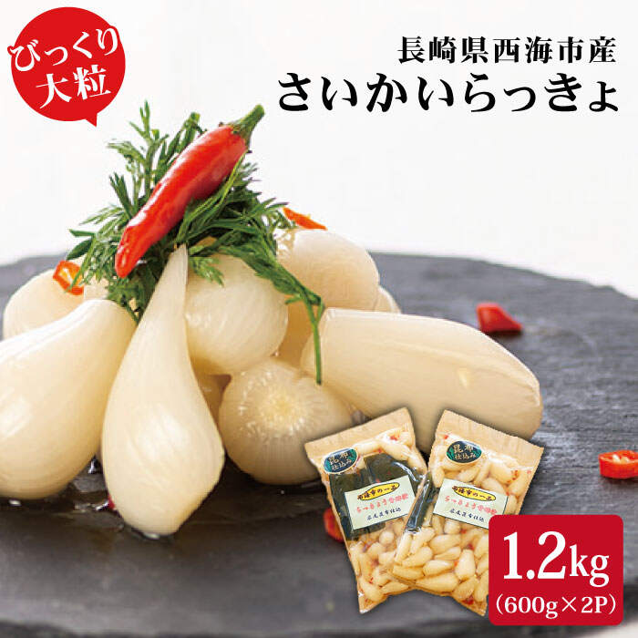 【ふるさと納税】【びっくり大粒】昆布仕込み さいかい らっきょ 艶づけ 甘酢漬け 1.2kg 600g 2P ＜道の駅さいかい みかんドーム＞ [CAI019] らっきょう ラッキョウ 漬け物 漬物 ご飯 昆布 天…