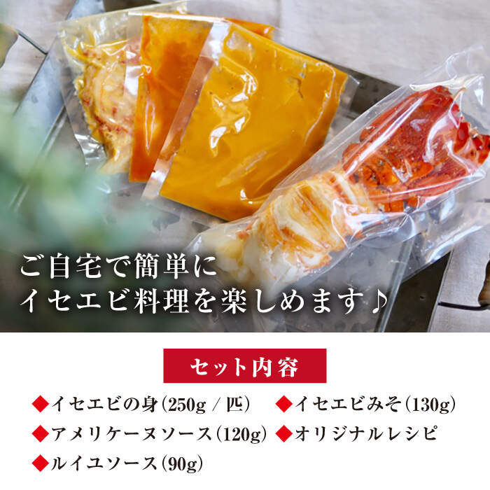 【ふるさと納税】【数量限定】簡単豪華！ イセエビ 料理キット 伊勢海老＜西海大崎漁協 崎戸支所＞ [CAW004] 長崎 西海 いせえび えび エビ 海鮮 崎戸産 贈答 ギフト プレゼント