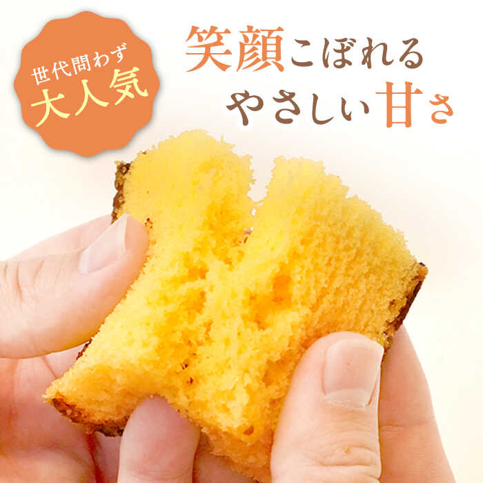 【ふるさと納税】【訳あり】長崎カステラ お菓子 ケーキ 洋菓子 和菓子 ＜伊達本舗＞ [CAX008]