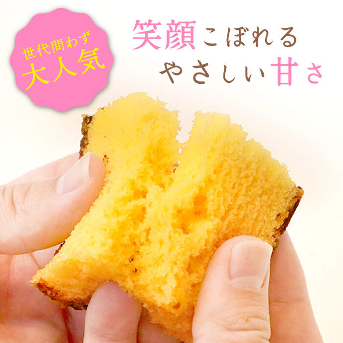 【ふるさと納税】【訳あり】【6回定期便】 長崎カステラ お菓子 ケーキ 洋菓子 和菓子 ＜伊達本舗＞ [CAX010]