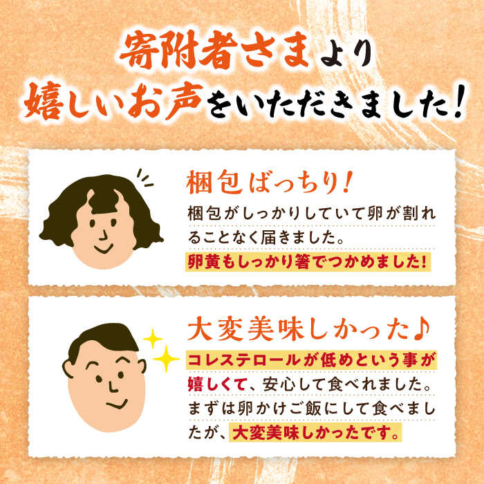 【ふるさと納税】【黄身がつかめる最高級の卵】【12回定期便】かきやまの「地養卵」Lサイズ40個×12回定期便＜垣山養鶏園＞ [CBB004] 長崎 西海 卵 たまご タマゴ 料理 卵黄 鶏 定期便 Lサイズ 40個 大人気 贈答 ギフト 小分け 赤玉