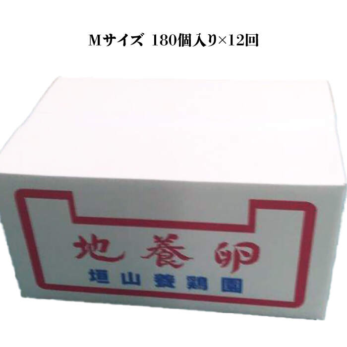 �ڤդ뤵��Ǽ�ǡۡڲ��Ȥ��Ĥ����ǹ�����ۡ�12������ءۤ�����ޤΡ�������� M������ 180�ġ�12������ء�����ܷܱ�� [CBB012] �� ���ޤ� ���ޥ� ���� ���ۻ� ��¸ ���� �إ륷�� �� �� �˥�ȥ� ����� M������