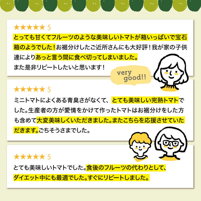 【ふるさと納税】【 訳あり 】ミニトマト 約3kg ＜白石農園＞ [CBI003] トマト 小鈴 訳あり サラダ 料理 甘味 酸味 食べやすい 子供