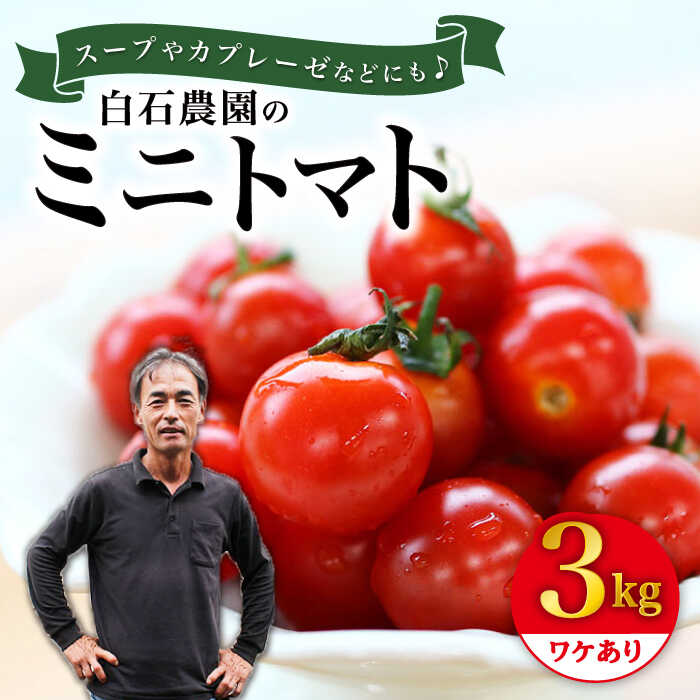 19位! 口コミ数「10件」評価「4.9」【 訳あり 】ミニトマト 約3kg ＜白石農園＞ [CBI003] トマト 小鈴 訳あり サラダ 料理 甘味 酸味 食べやすい 子供