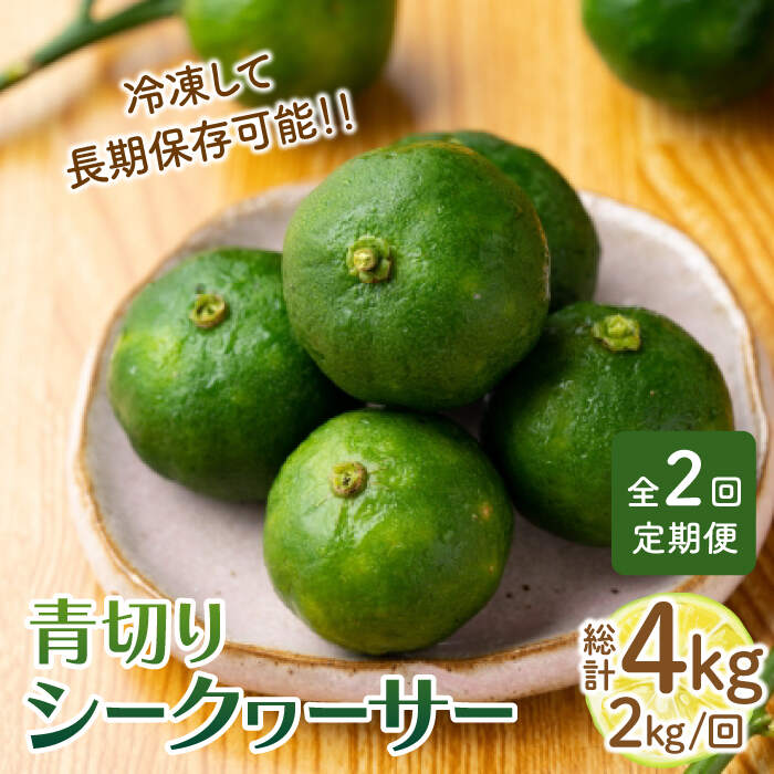 【全2回定期便】【TVで話題！】【先行予約】 青切り シークワーサー 約2kg×2回（計4kg）＜広津農園＞ [CBN016] シークヮーサー レモン 果物 柑橘 定期便