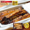 【ふるさと納税】【肉厚180gを計36匹（月1回3匹×12回