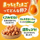 長崎県西海市の画像3