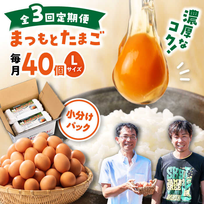 【ふるさと納税】【月1回 Lサイズ 40個 ×3回 定期便 】家族のために選びたい「 まつもとたまご 」計120個＜松本養鶏場＞[CCD002] 長崎 西海 卵 生卵 新鮮 卵かけごはん 安全 安心 美味しい こだわり 少数飼い 定期 赤玉 小分け