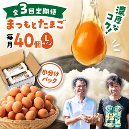 【ふるさと納税】【月1回 Lサイズ 40個 ×3回 定期便 】家族のために選びたい「 まつもとたまご 」計120個＜松本養鶏場＞[CCD002] 長崎 西海 卵 生卵 新鮮 卵かけごはん 安全 安心 美味しい こだわり 少数飼い 定期 赤玉 小分け