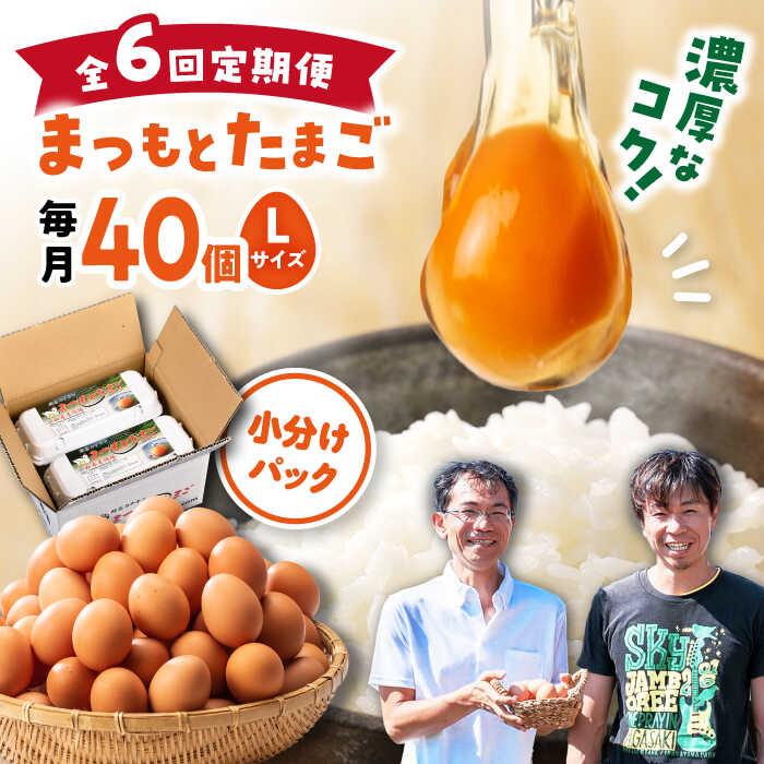 [月1回 Lサイズ 40個 ×6回 定期便 ]家族のために選びたい「 まつもとたまご 」計240個[松本養鶏場][CCD003] 長崎 西海 卵 生卵 新鮮 卵かけごはん 安全 安心 美味しい こだわり 少数飼い 定期 小分けパック 赤玉