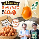 【ふるさと納税】【月1回 Lサイズ 40個 ×12回 定期便 】家族のために選びたい「 まつもとたまご 」計480個＜松本養鶏場＞[CCD004] 長崎 西海 卵 生卵 新鮮 卵かけごはん 安全 安心 美味しい こだわり 少数飼い 定期 赤玉 小分け