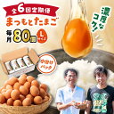 【ふるさと納税】【月1回 Lサイズ 80個 ×6回 定期便 